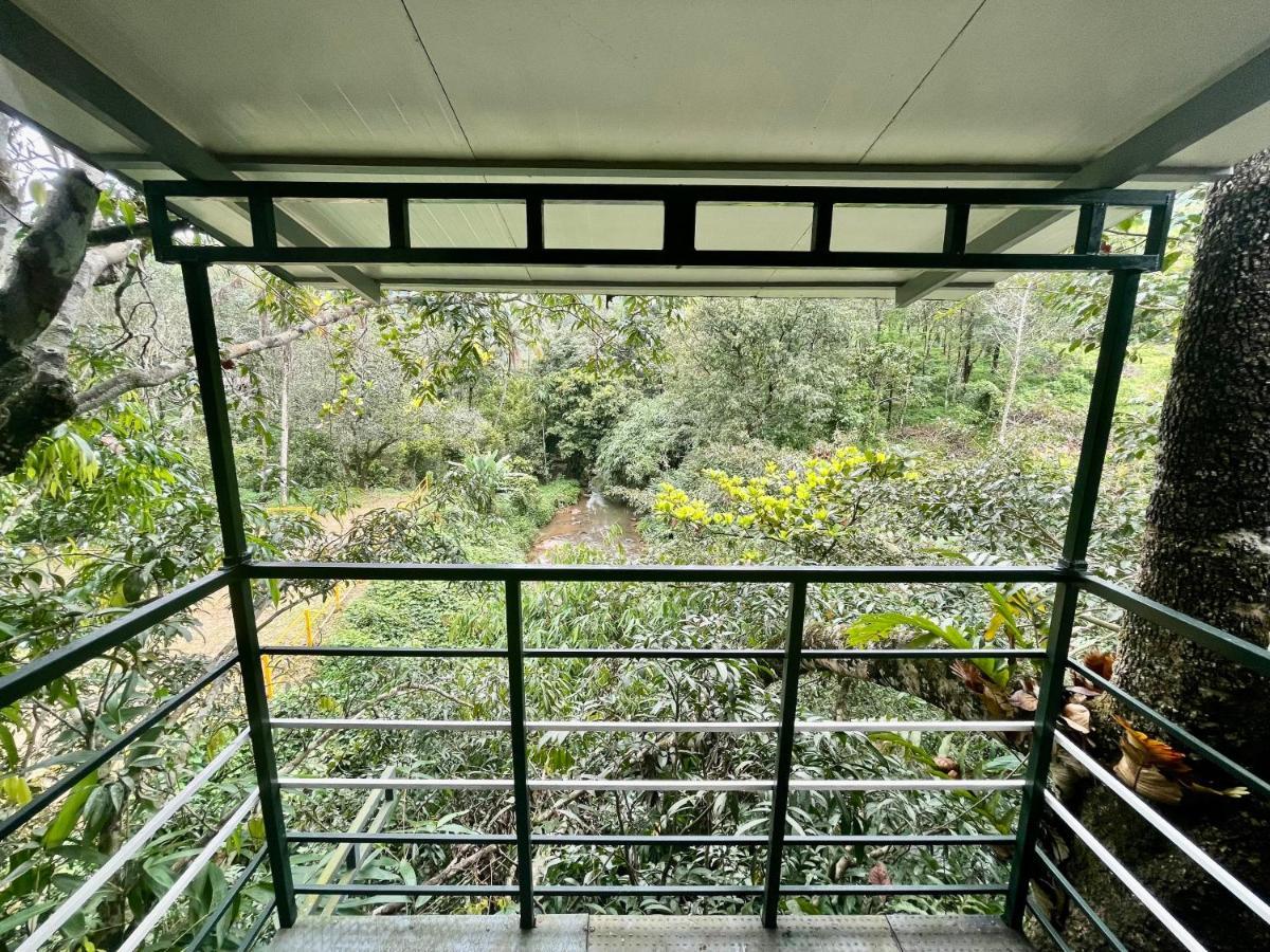 Nutmeg valley Idukki Kültér fotó