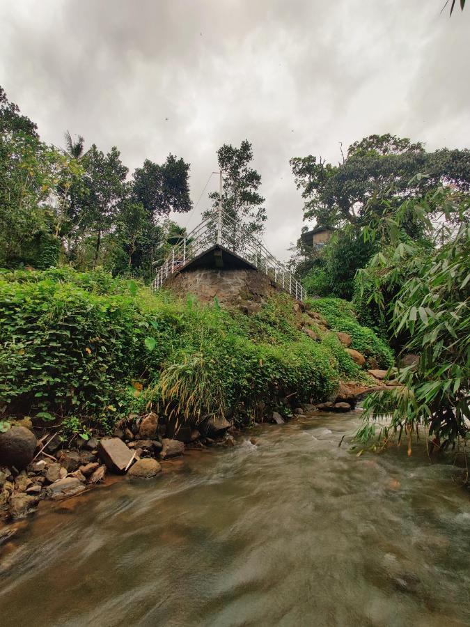 Nutmeg valley Idukki Kültér fotó