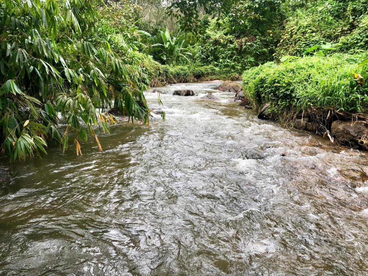 Nutmeg valley Idukki Kültér fotó